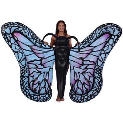 Butterfly 81
