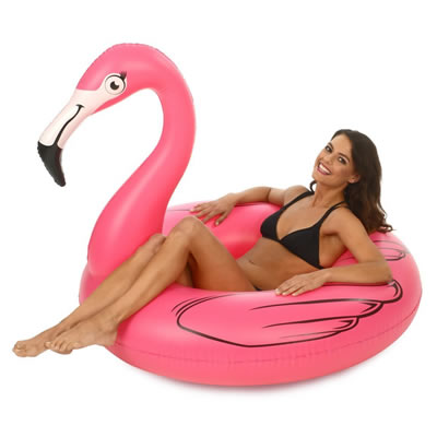 Flamingo 48